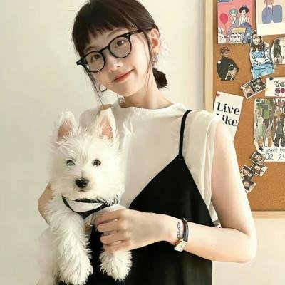 巡回检察组